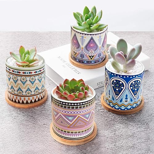 Miniatura 4 de Feoxialy Succulent Plant Pots 6 Pack with Drainage 3.1 Inch Cylinder Flower Pots Small Ceramic Pots for Plants Indoor&amp;Outdoor Garden Flower Planter