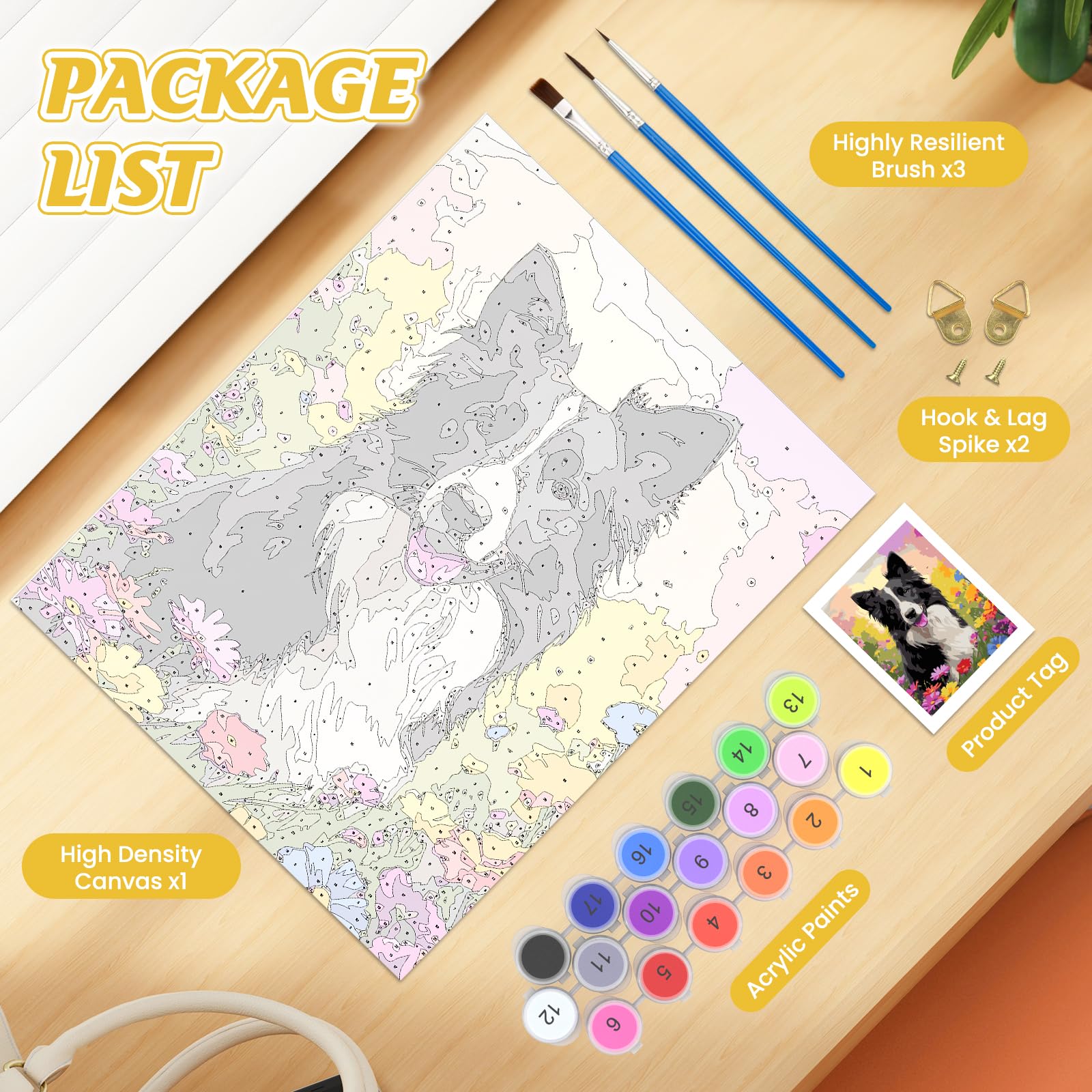 Peinture par Numéros pour Adultes, Enfants et Débutants, Moon Paint par
