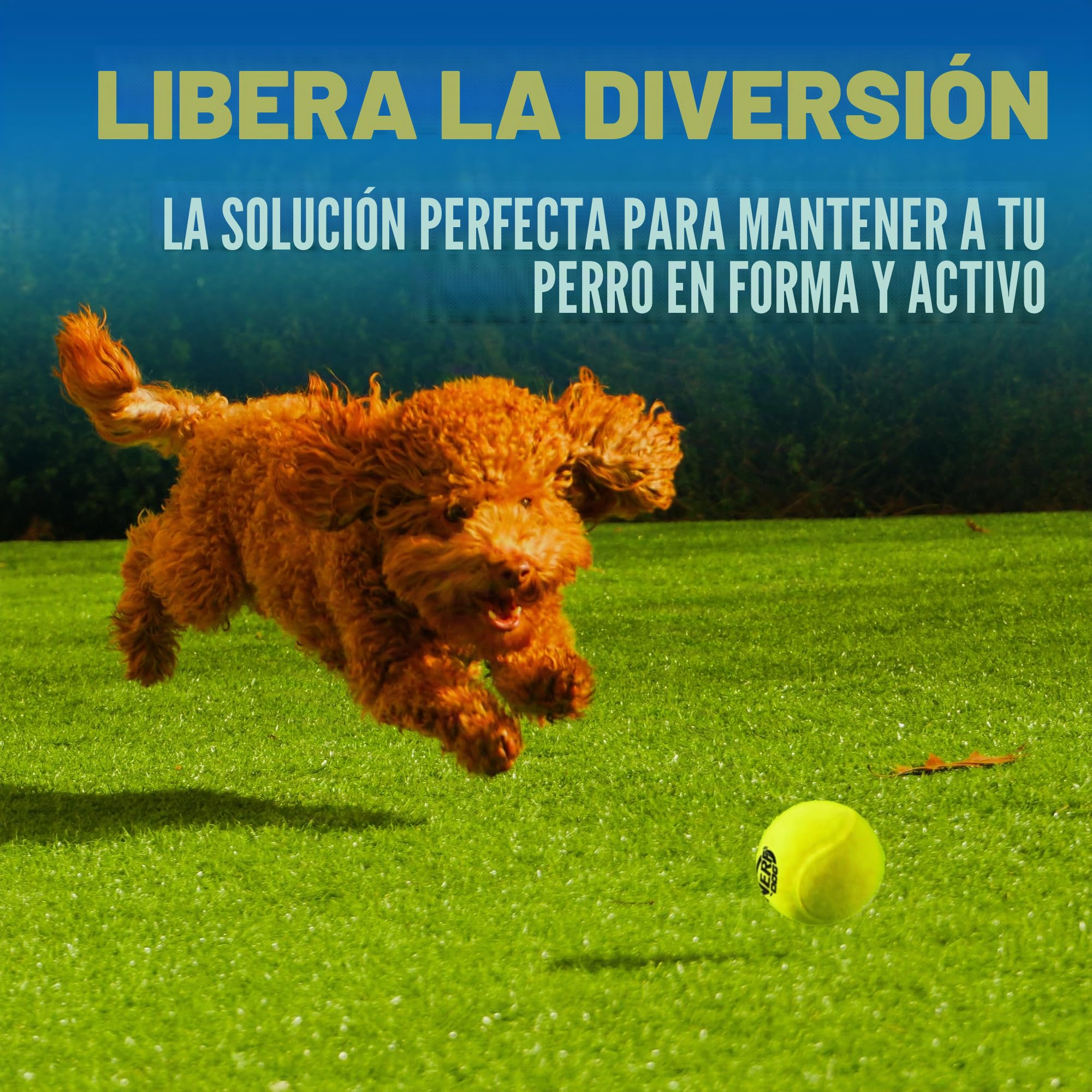 Nerf Dog Juego de Regalo de Juguete para Perros de Pelota de Tenis, Lanzador de Pelotas de Tenis para Perros de hasta 50 pies, Lanzador de Pelotas de Perro para Todas Las Razas, Incluye Lanzador de