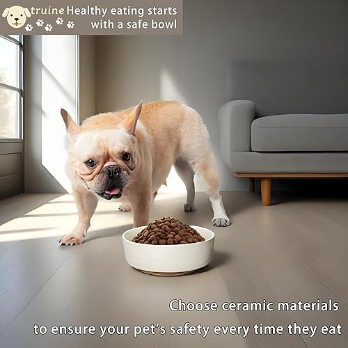 Miniatura 2 de Cuenco de cerámica para perro, regalo para tu mascota, cuenco mediano para agua y comida, apto para microondas y lavavajillas