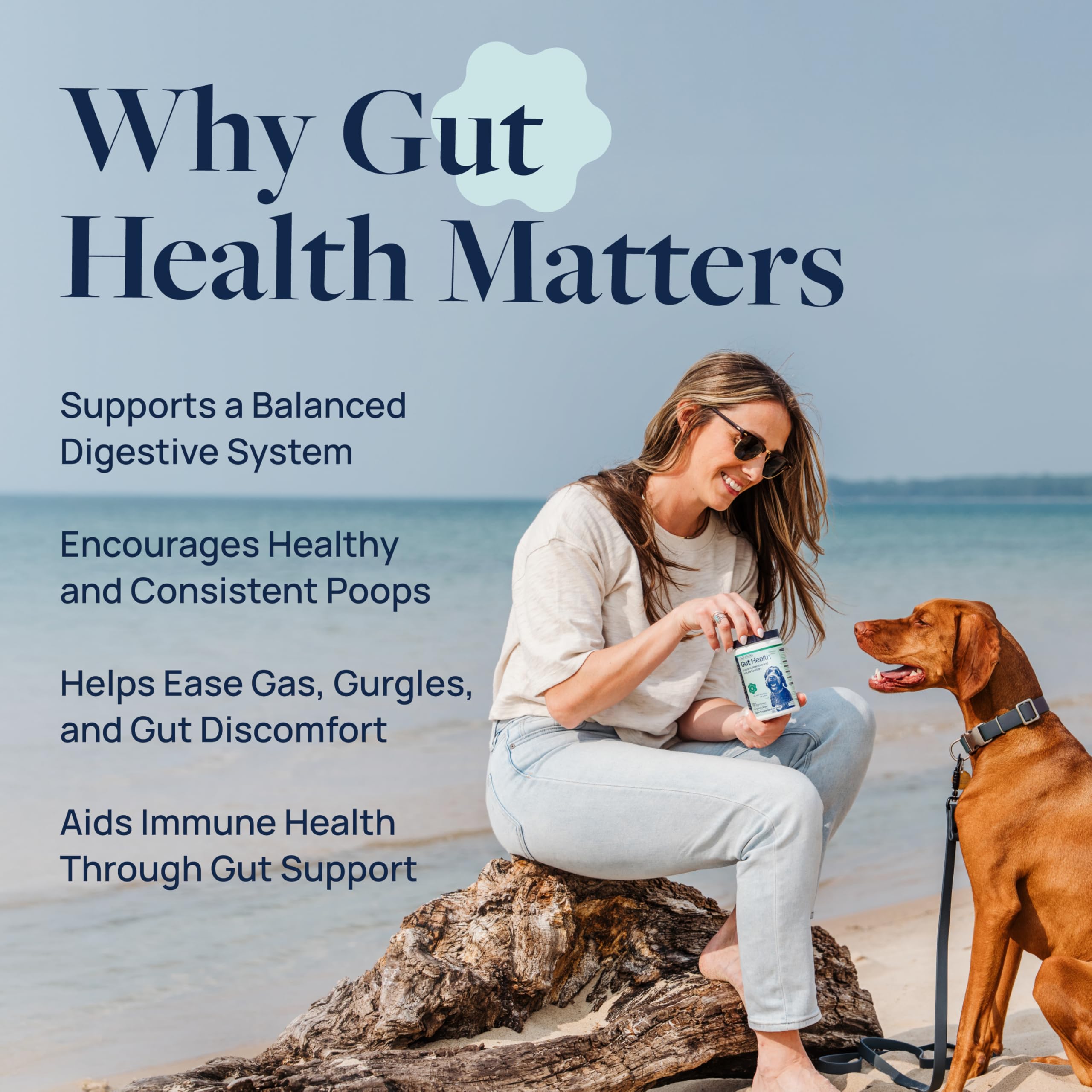 Veterinary Formula Gut Health Supplement for Dogs – Vet-Formulated Probiotic Chews with Digestive Enzymes & Fiber – Smart Vitality Supports Digestive Health, Gut Balance & Stool Quality, 60 Soft Chews - image 2