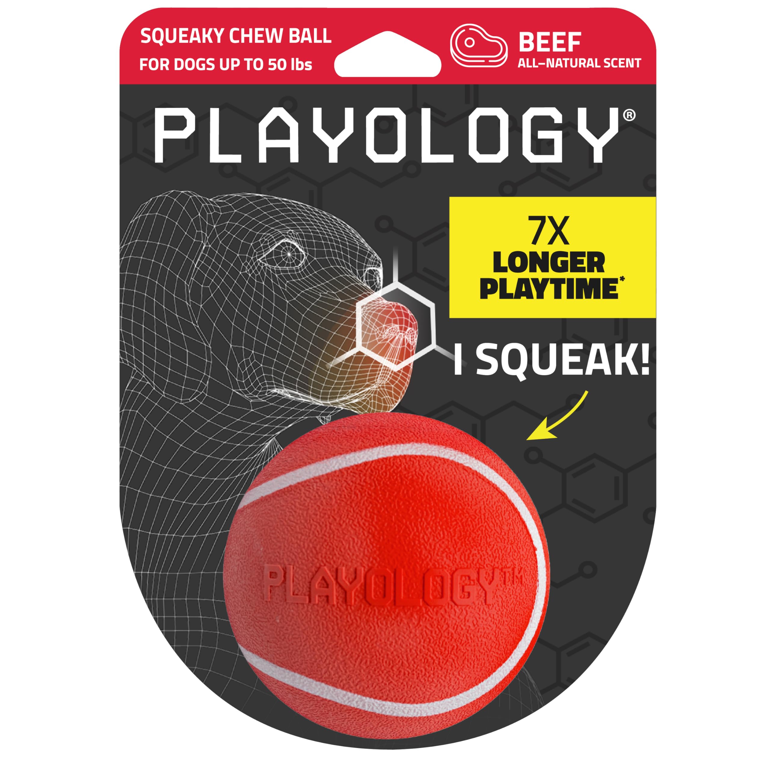 Squeaky Chew Ball Dog Toy - Medium, Beef Scent