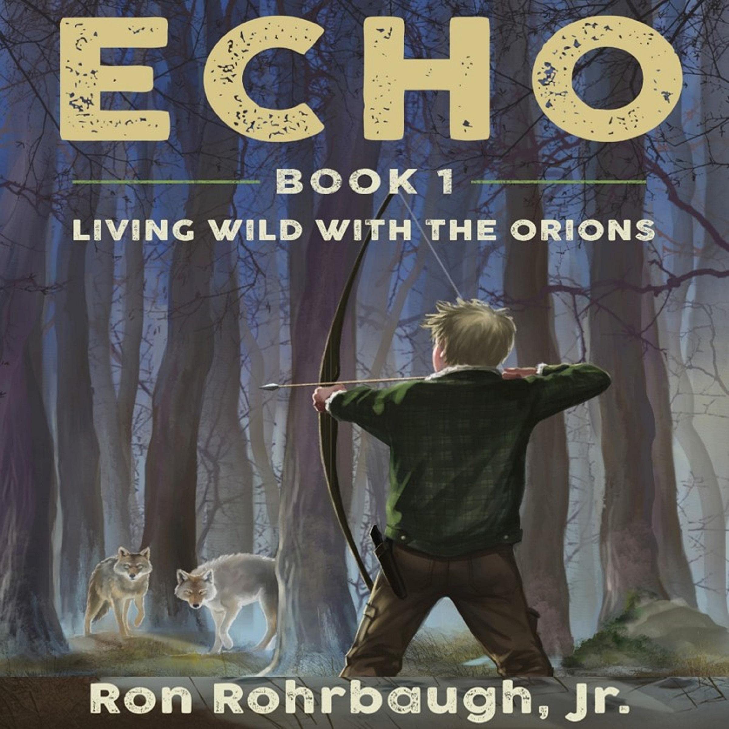 Cover art for Echo