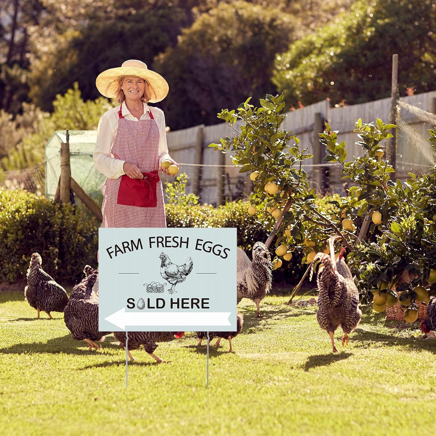 Soaoo 5 Pcs Farm Fresh Eggs Sold Here Sign 16 x 12 Inch Double Sided Fresh Eggs for Sale Sign Corrugated Plastic Chicken with Stakes Easter Egg Sale Signs for Indoor Outdoor Yard