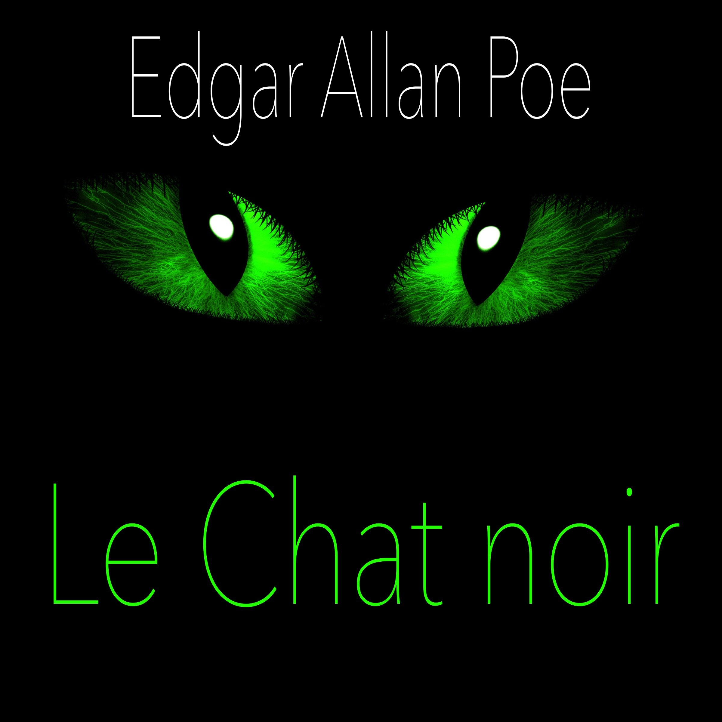 Cover art for Le Chat noir