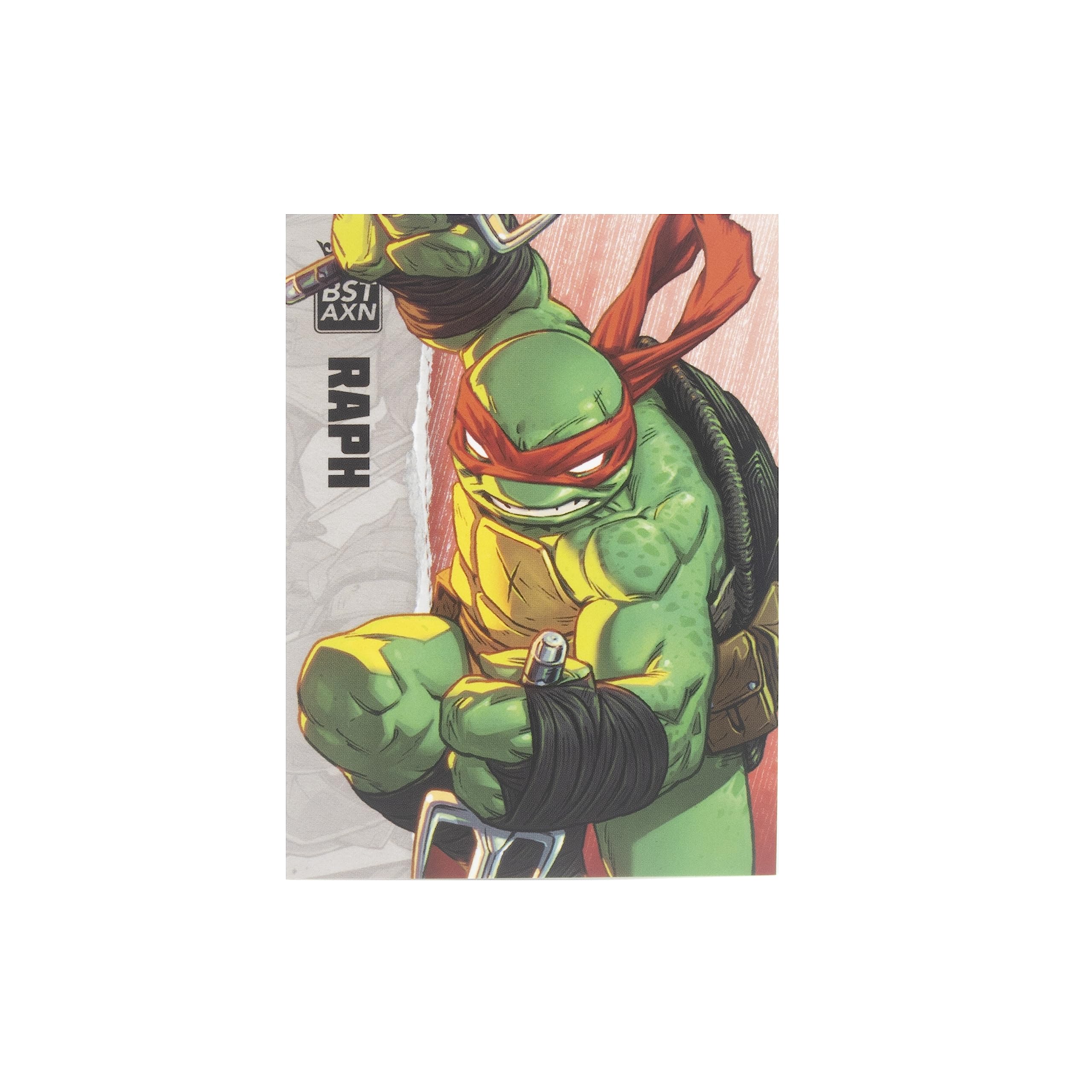Amazon.com: Teenage Mutant Ninja Turtles BST AXN Raphael IDW