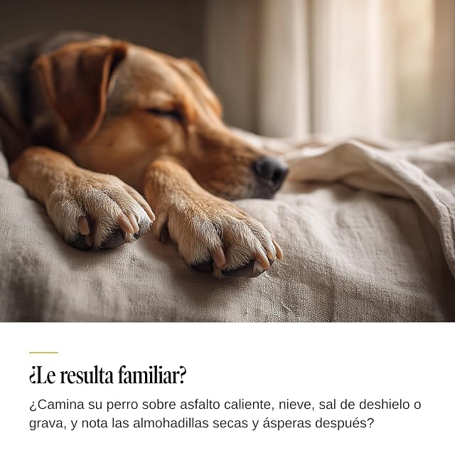 Foto 3 de 7 de Sensipharm® Sensi Paw Spray Perro - Cuidado de Almohadillas - 100 ml