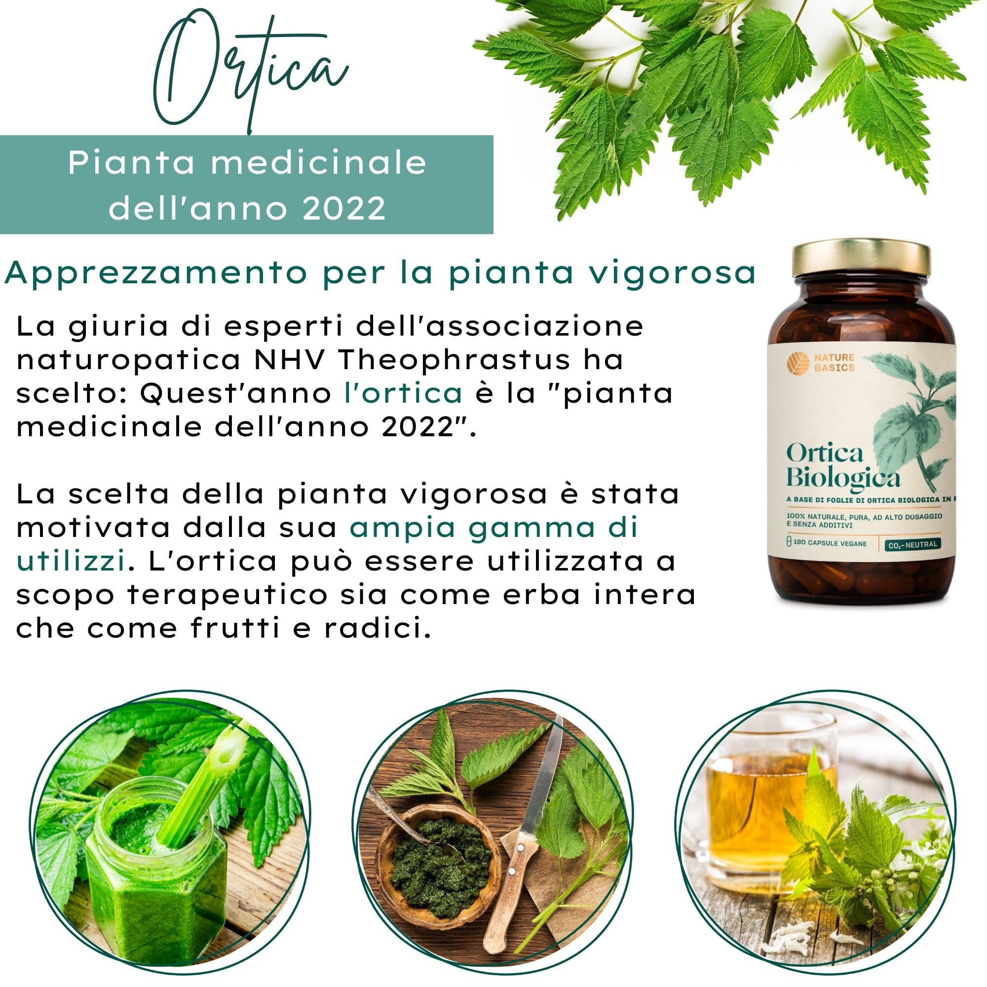 Ortica biologica - 180 capsule ad alto dosaggio / 900 mg di polvere di foglie di ortica biologica pura e di alta qualità per dose giornaliera/vegana, certificata e sostenibile in barattolo