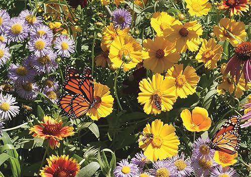 Miniatura 9 de Earth Science Mezcla de polinizador de flores silvestres de, mezcla 3 en 1 con semillas de flores silvestres de primera calidad, alimentos para