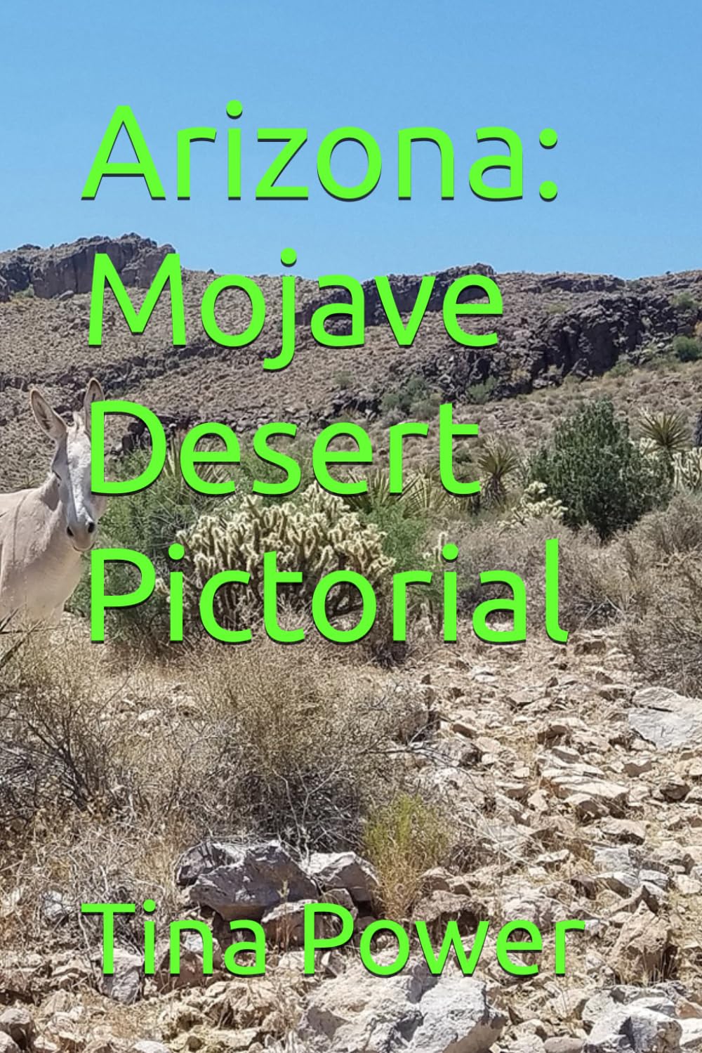 Arizona: Mojave Desert Pictorial