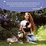 Ver la foto 5
