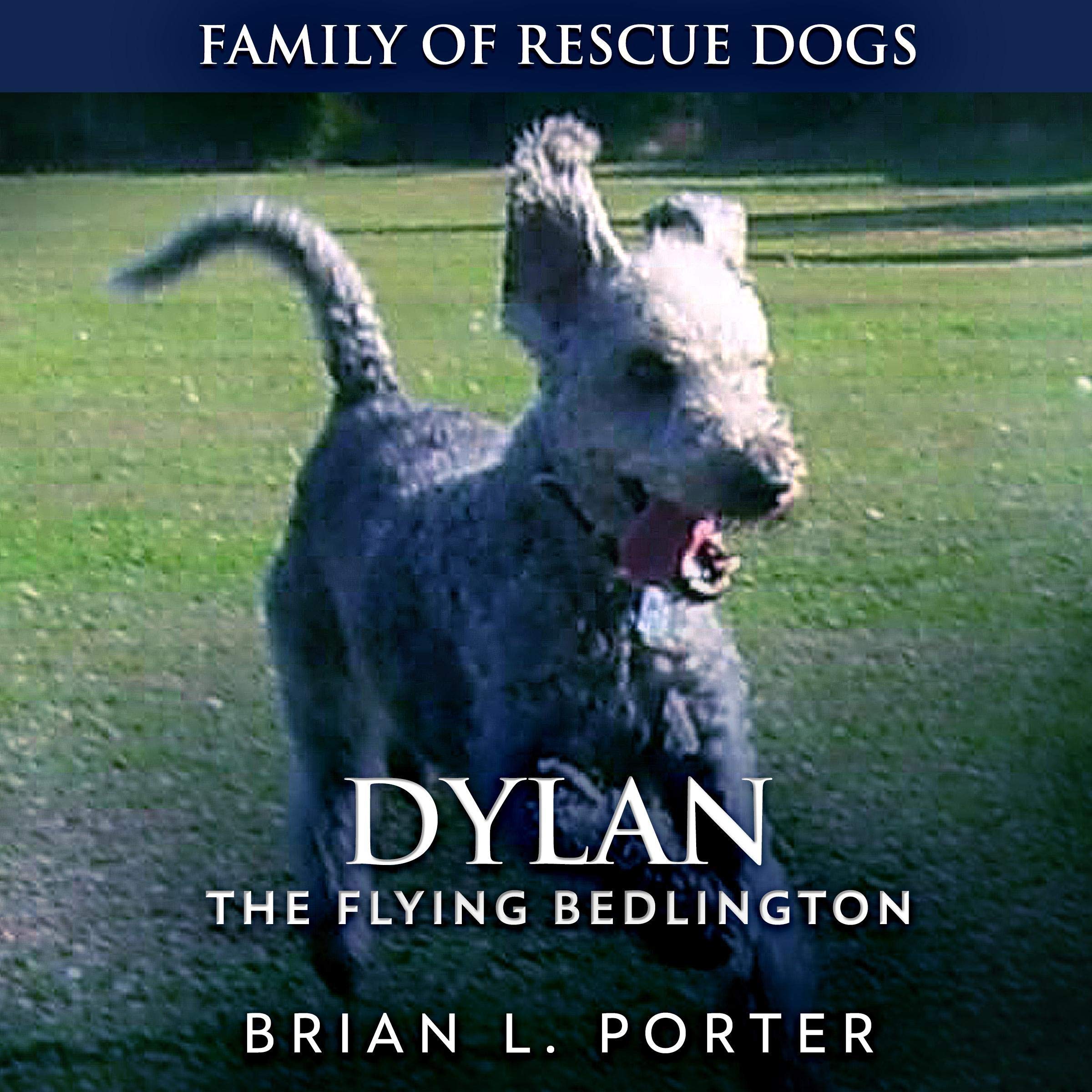 Cover art for Dylan