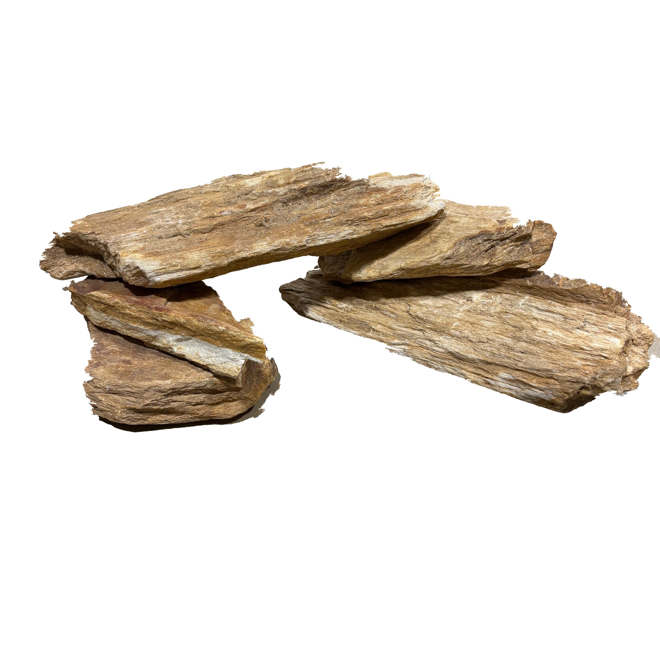 Premium Aquascaping Rocks for Freshwater and Planted Aquariums - Burma Petrified Stone - 20 lbs