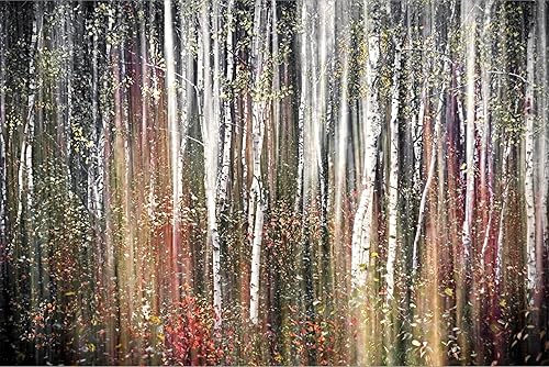 Miniatura 2 de ART.COM Lienzo decorativo para pared, diseño de otoño rosa, de Ursula Abresch, decoración escénica, 18 x 12 pulgadas Lienzo estirado