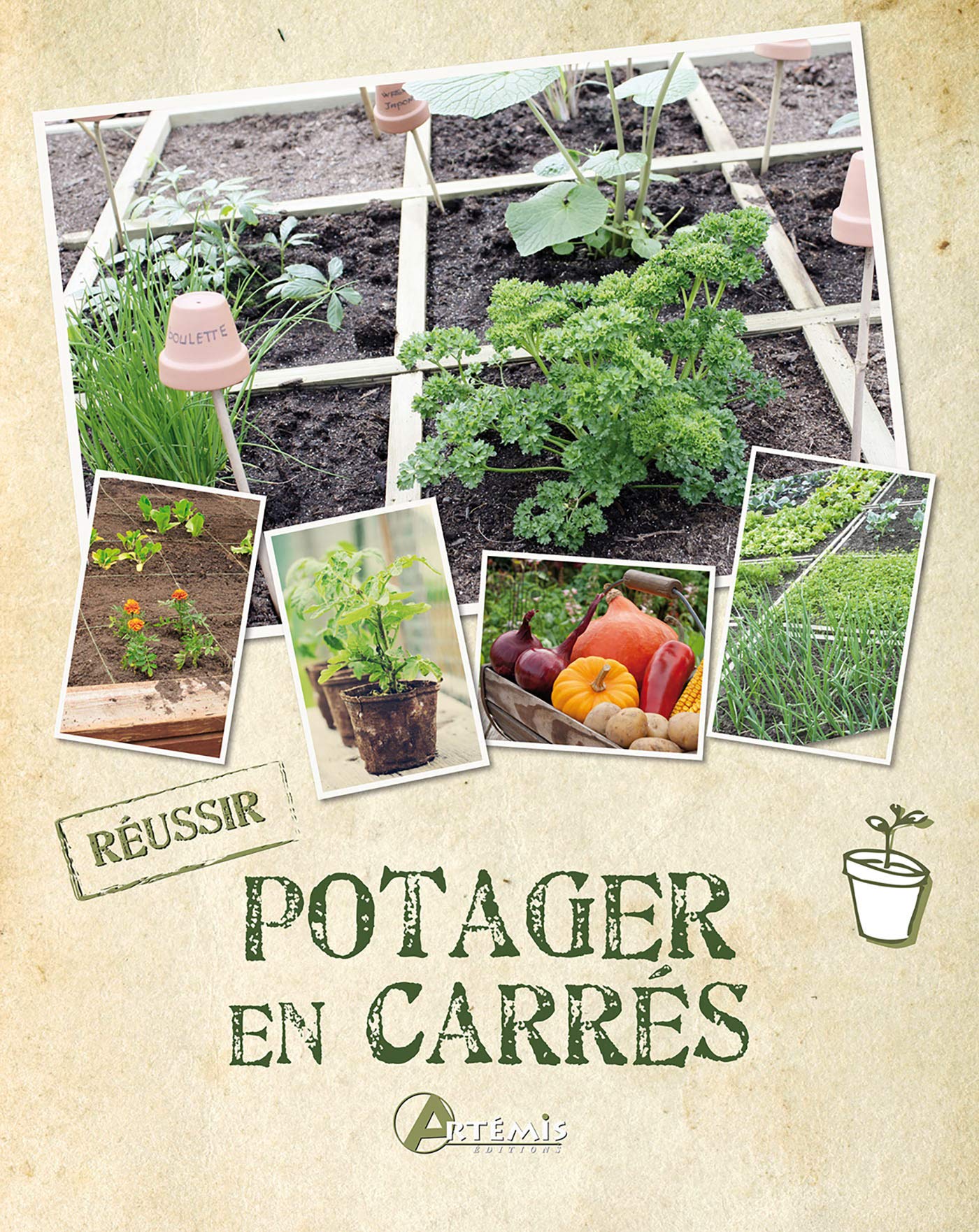 Potager en carrés: 0