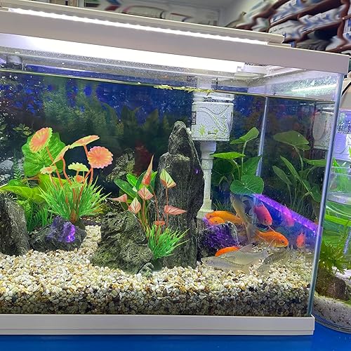 Miniatura 3 de 16 piezas de decoración de peceras de hierba, plantas de decoración de acuarios, peces betta, accesorios de tanque de tortugas, kit de algas marinas