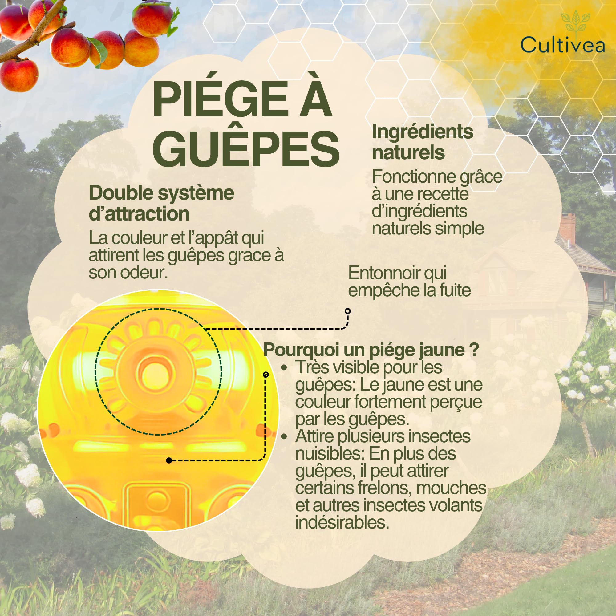Cultivea- Lot 2 Piège à Guêpes et Frelons Extérieur Réutilisable – Attrape Guêpe Naturel sans Danger pour Abeilles – Double Système d’Attraction – Piège à Frelons Asiatiques Efficace (Jaune)