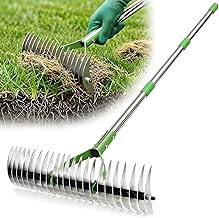 Thatch Rake for Lawn -13" Heavy Duty Dethatching Rake,Sharp Carbon Steel Tines, 2-in-1 Manual Dethatcher & Scarifier Rake for Dead Grass,Moss Removal,Turf Dethatching,50'' Adjustable Handle