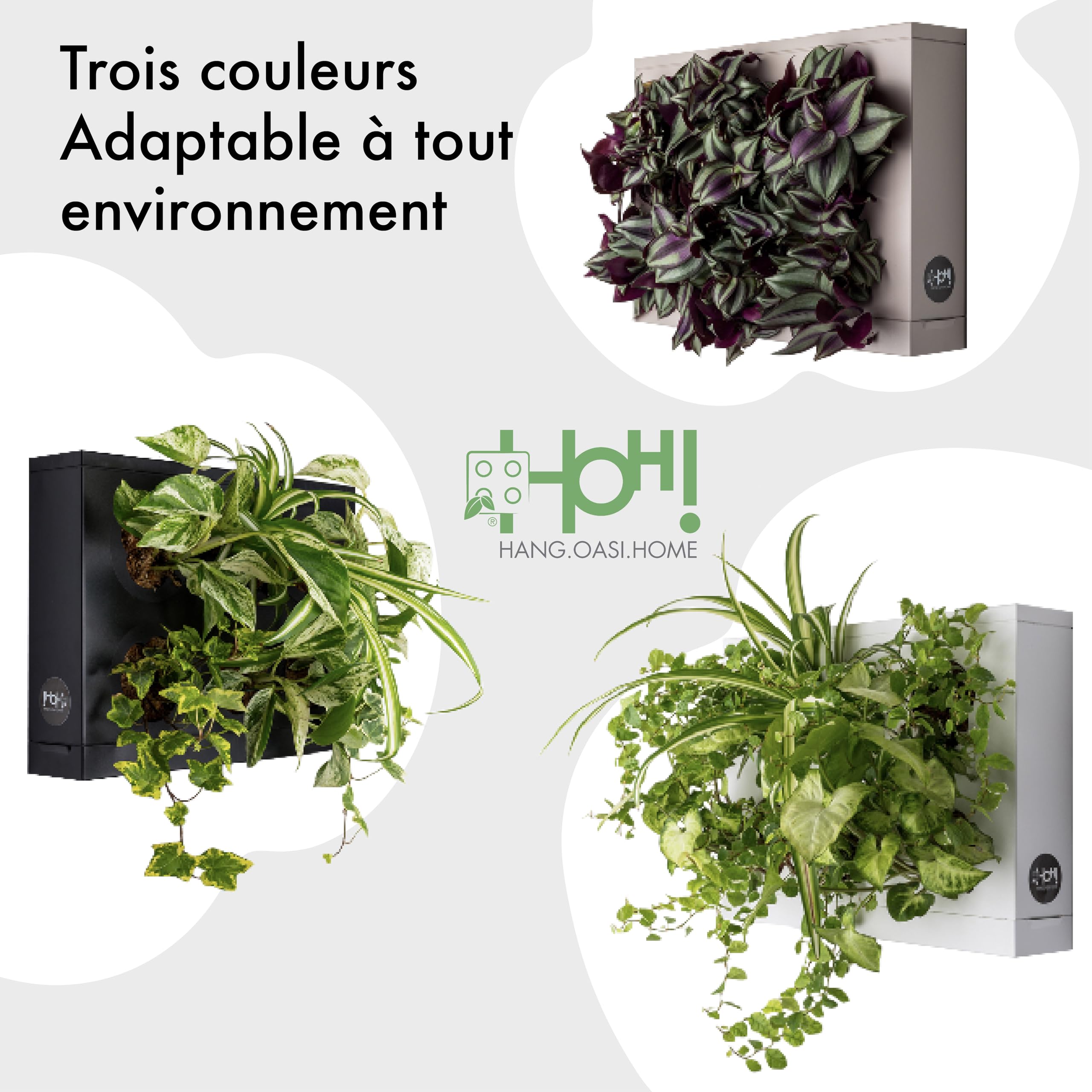 Ortisgreen HOH! Planche Vegetal DIY en Plastique ABS Blanc pour 6 Plantes, avec substrat Naturel (Mousse de sphaigne) et Instructions.