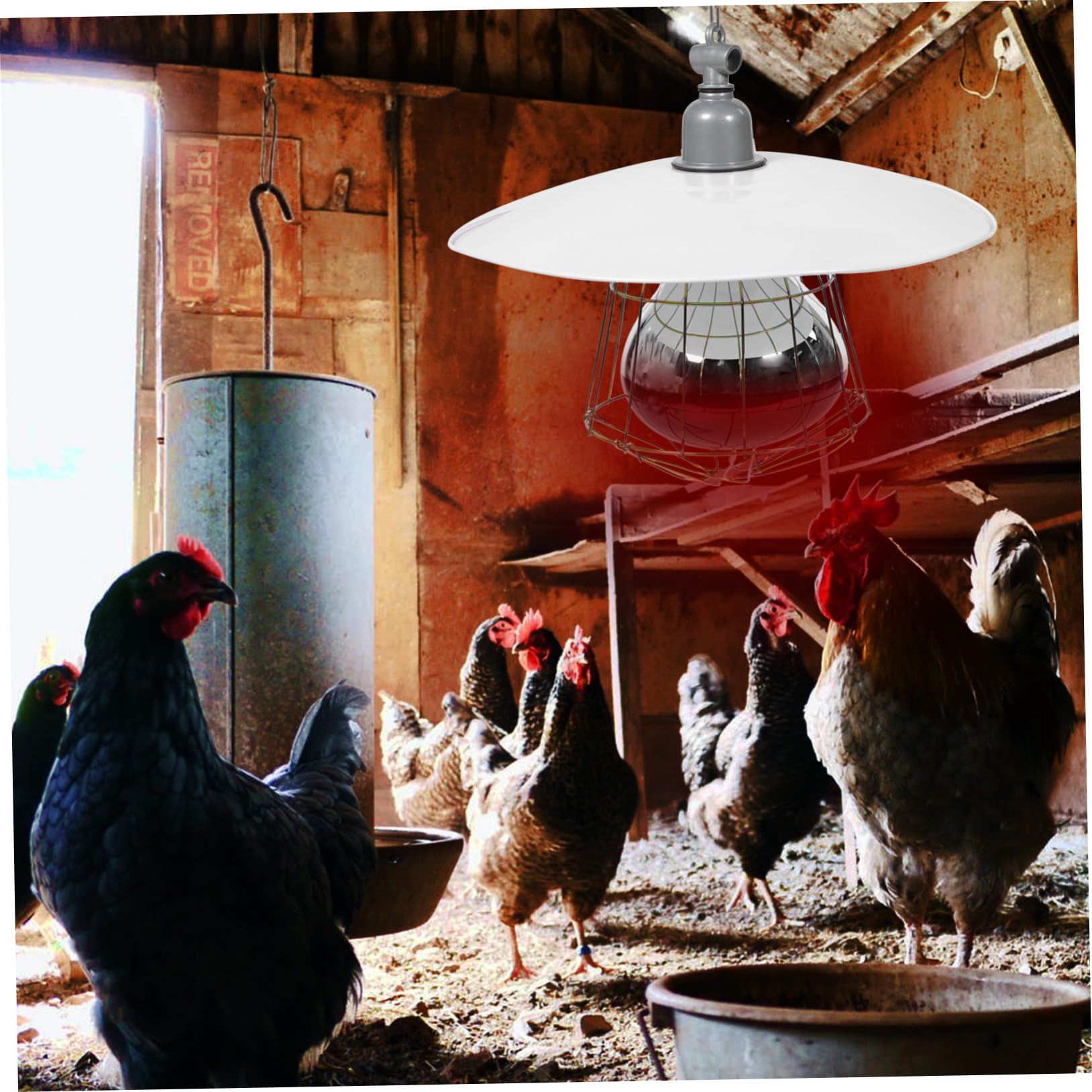 VICASKY 2 Pezzi Lampada Riscaldante per Gabbia Animali da Allevamento con Copertura in Metallo Accessorio Termico per Porcellini e Rettili Funzionamento Facile e Alta Efficienza Termica