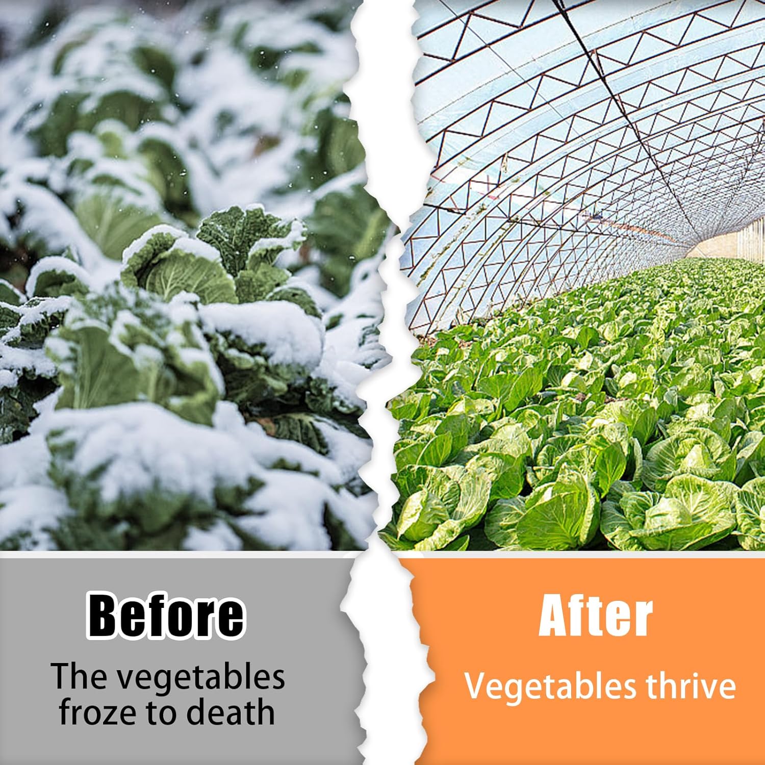 Greenhouse Plastic Sheeting,6 Mil 13×26ft Clear Greenhouse Film,Heavy Duty Plastic Sheeting for Farms Greenhouse Garden Floor Protection