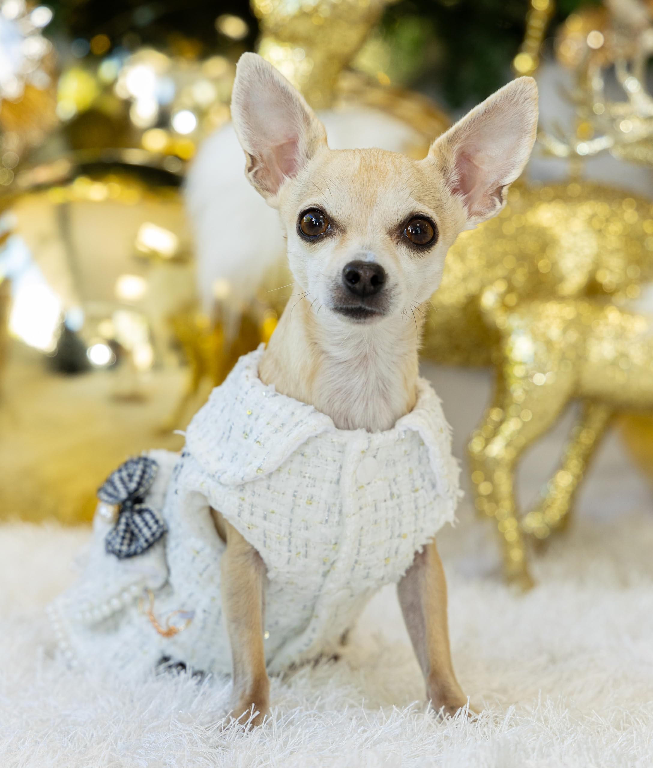 yorkie christmas dress Red Tulle Pet Dress with 3D Rose Bodice & Satin Bow for Holidays SXL