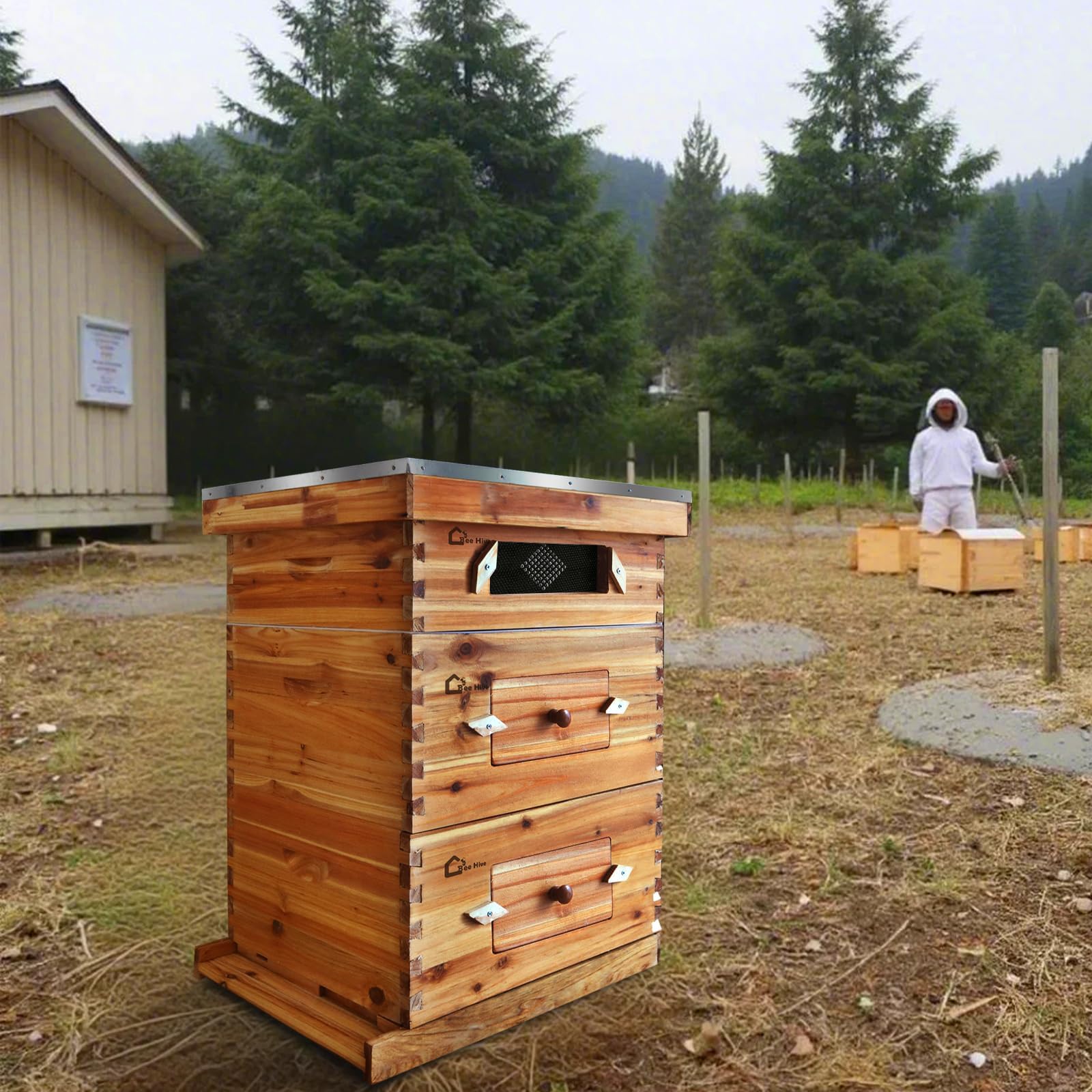 Garvee Kit complet ruche Langstroth 10 cadres pour apiculture – 2 corps profonds, 1 hausse moyenne, fenêtres acryliques, cadres et cires inclus – Bois de sapin traditionnel – Traditionnelle ruche en