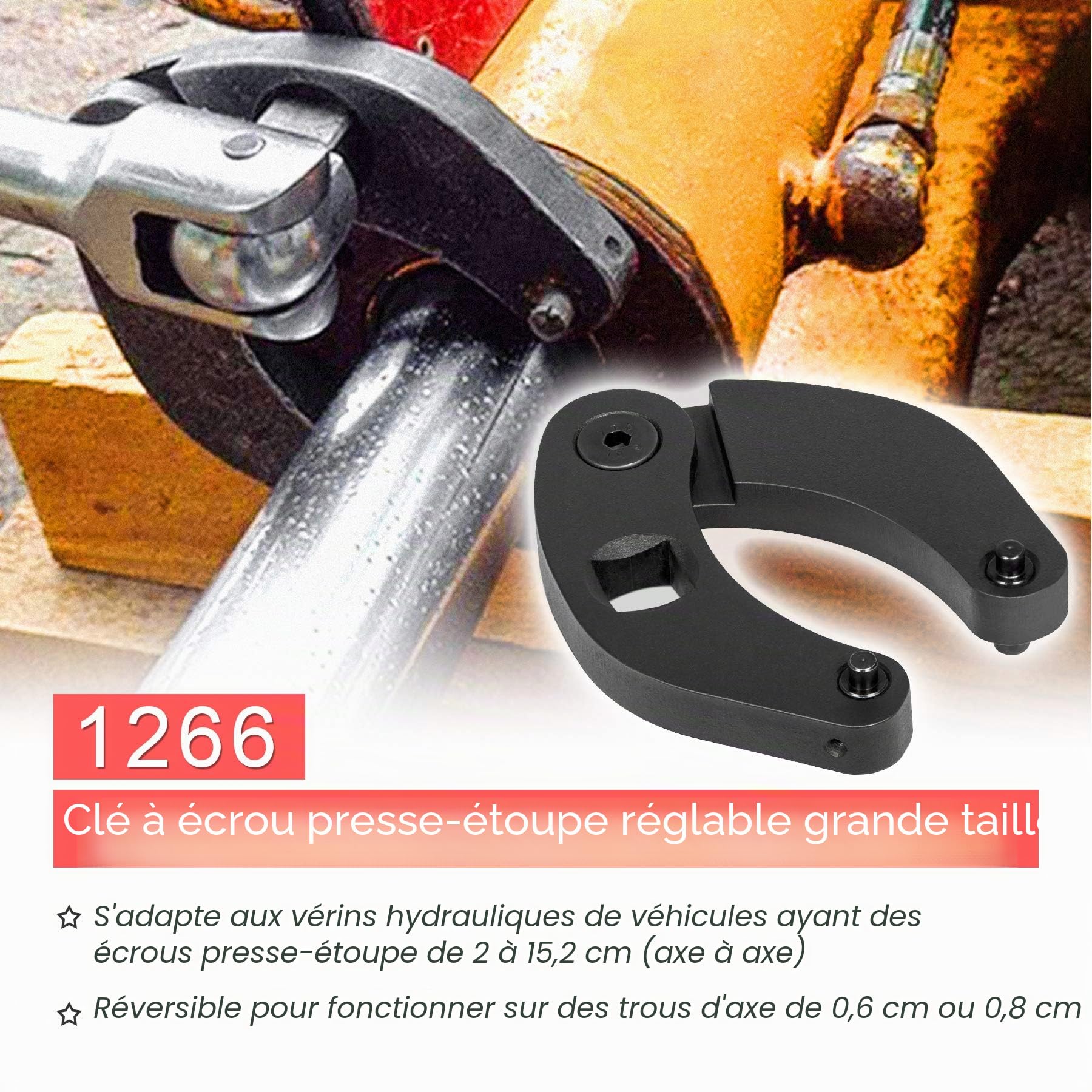 1266 & 7463 Lot de 2 clés à cliquet réglables pour cylindre hydraulique Grande et petite