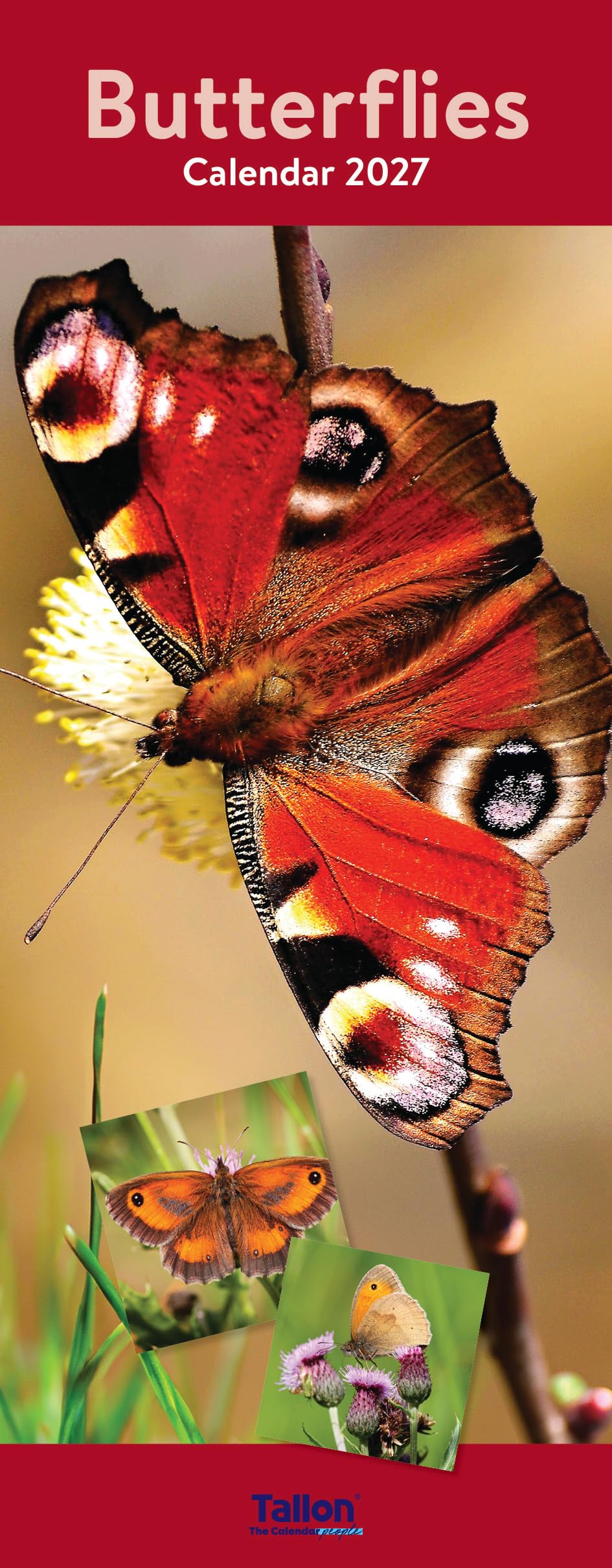 2027 Slim Month To View Spiral Bound Photo Wall Calendar - Flowers and Butterflies