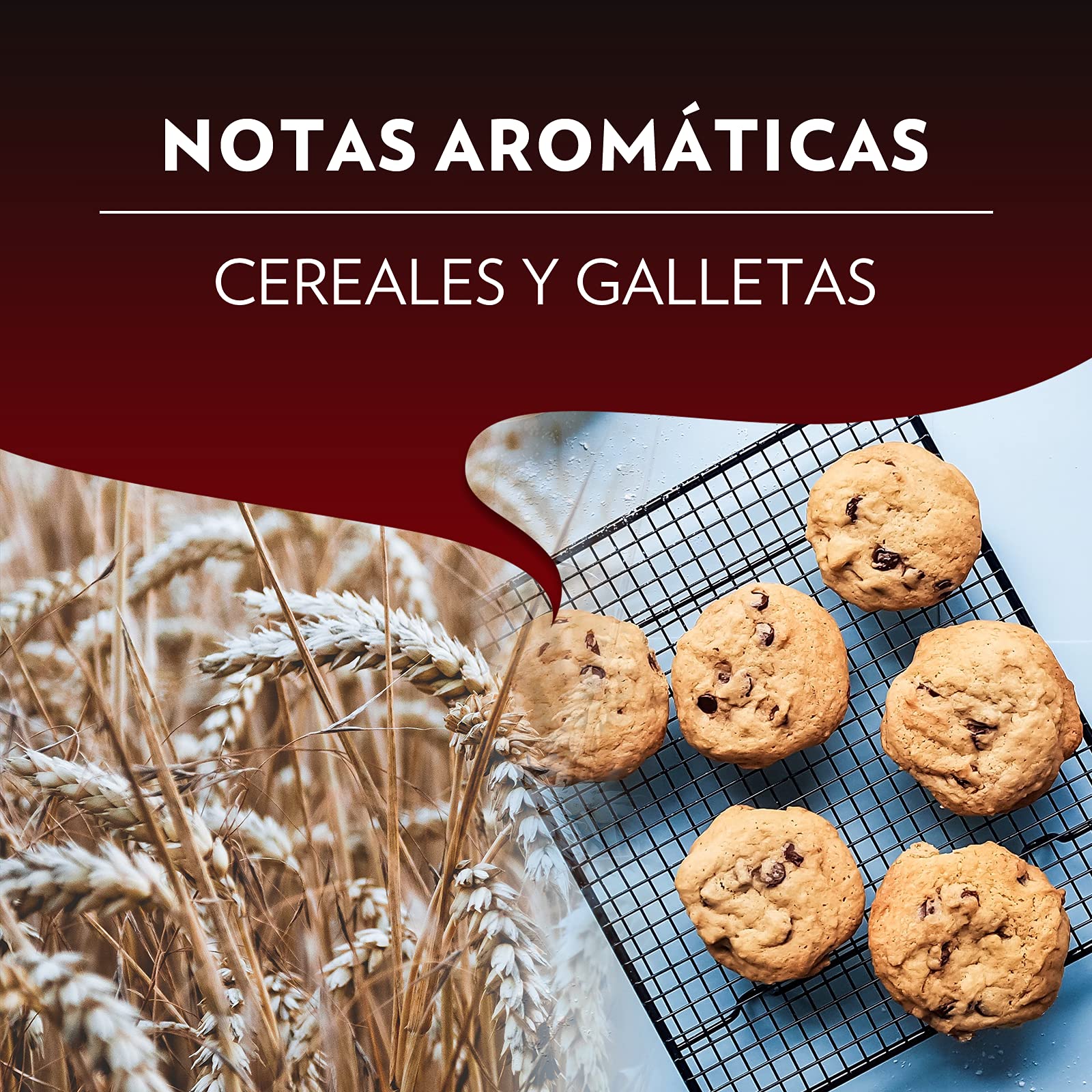 Lavazza, Espresso Maestro Classico, 100 Cápsulas de Café Compatibles con Máquinas Nespresso* Original, Notas de Cereales y Galletas, 100% Arábica, Intensidad 9, Tueste Medio-Oscuro, Amazon Exclusive | Intensidad 9 - 100% Arabica - Notas de cereales y gall