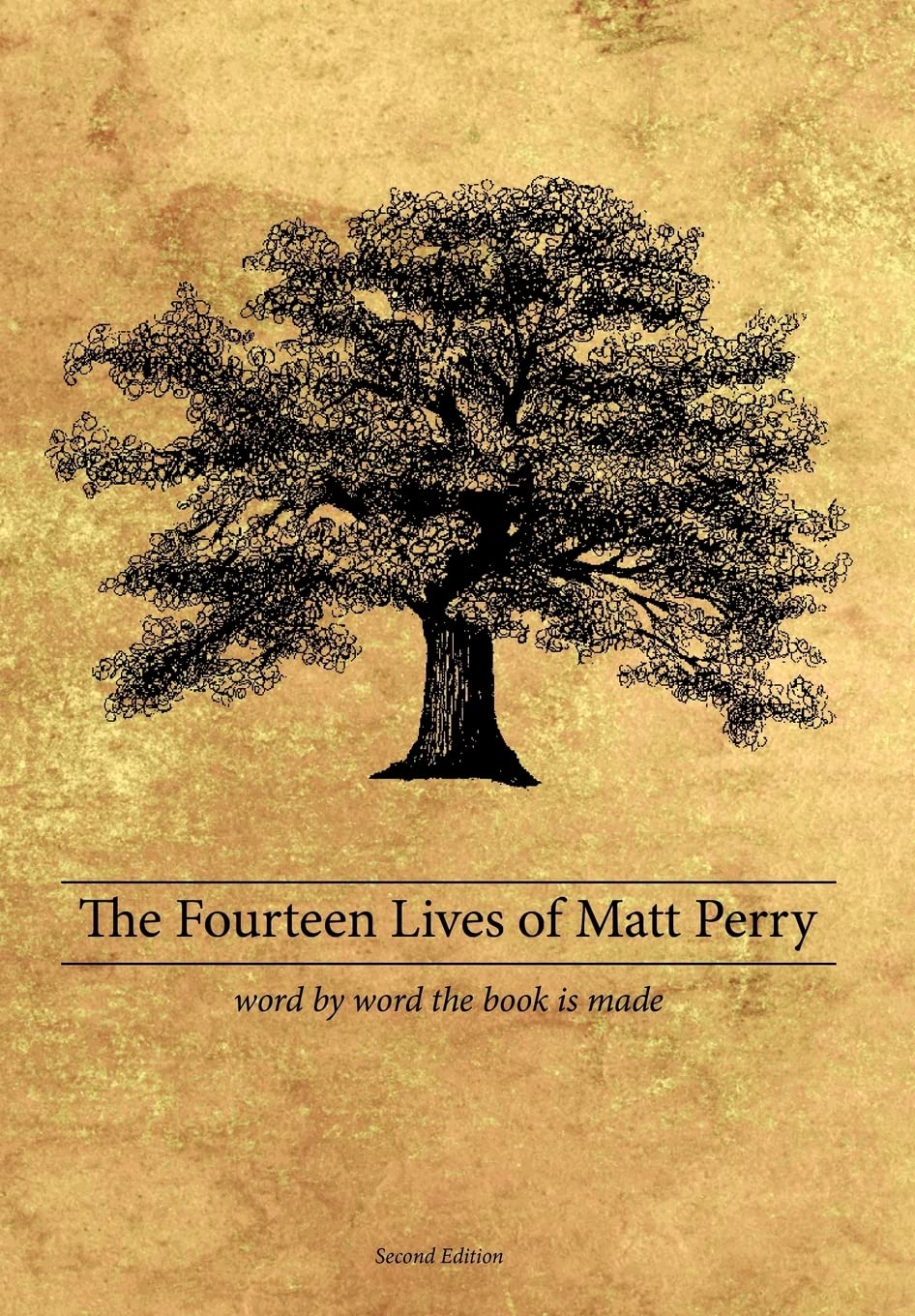 The Fourteen Lives of Matt Perry. Perry New 9781438940083 Fast Free Shipping**