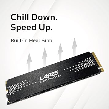 LEVEN JPS600 2TB PCIe NVMe Gen3x4 PCIe M.2 2280 SSD with Thermal Pad and Heat Sink