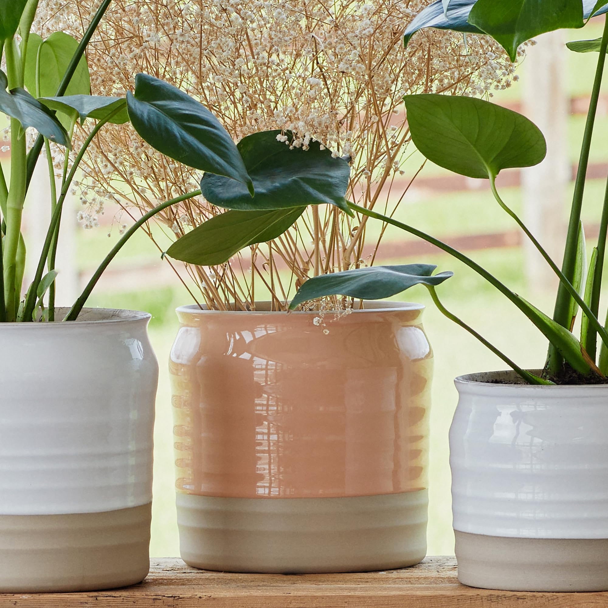 Ivyline Puro Maceta Ondulada Brillante con Labios en melocotón, gres de Primera Calidad, Maceta de Interior de cerámica Texturizada para Plantas de Interior, 19 cm de Alto x 21 cm de Profundidad