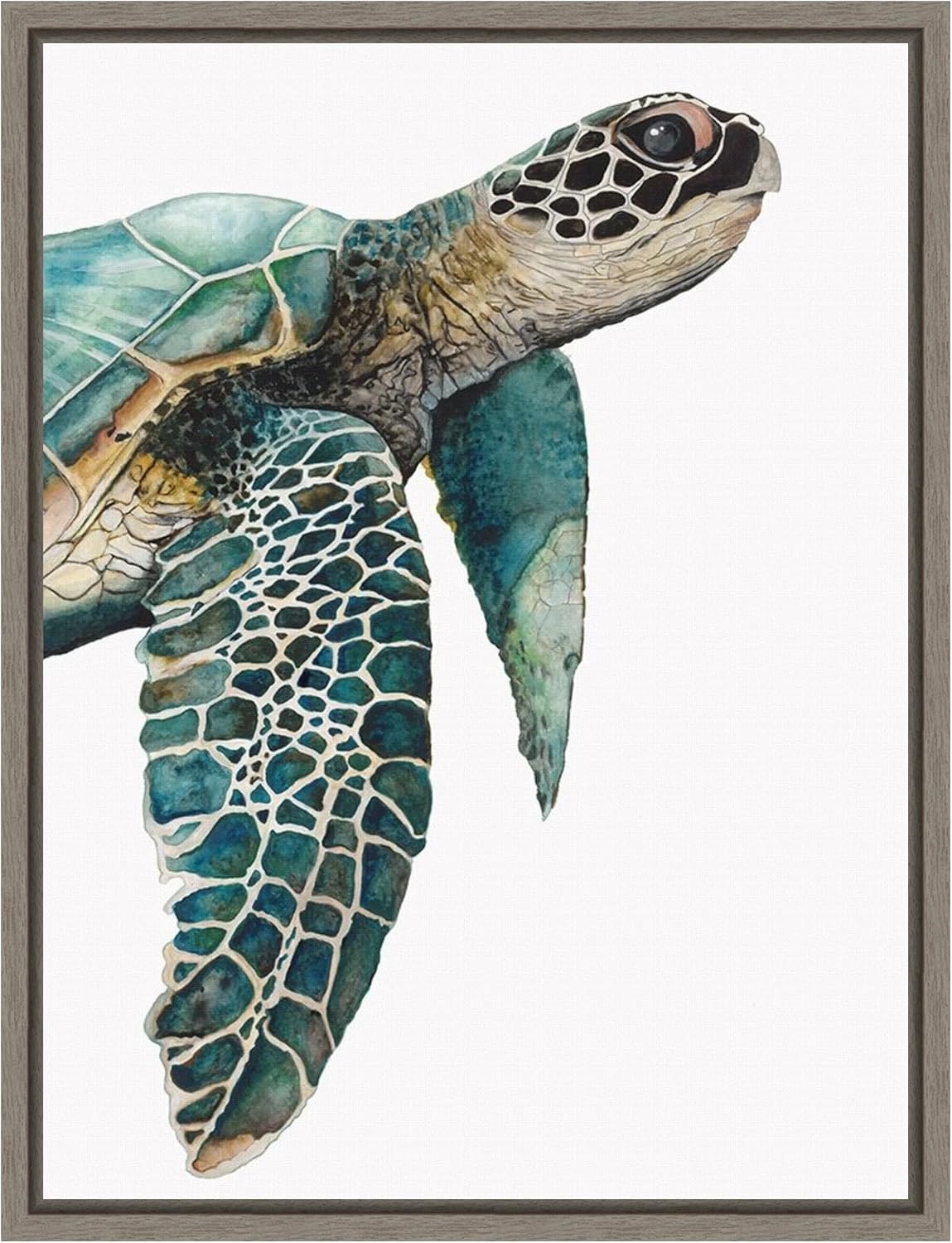 Amanti Art Framed Canvas Wall Art 24x18 Great Sea Turtle by Jodi Hatfield, Framed Wall Art Canvas, Animals Artwork, Country Rustic Decor, Medium Poster Painting for Living Room, Bedroom, Bathroom,