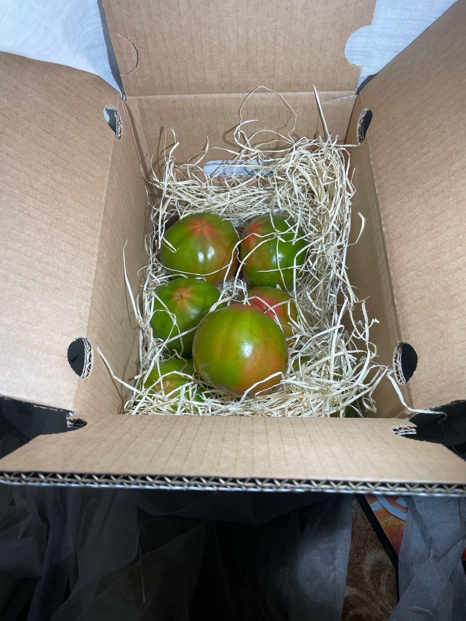Optima Tomate Ecologico Valenciano