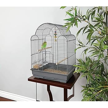 you and me bird carrier