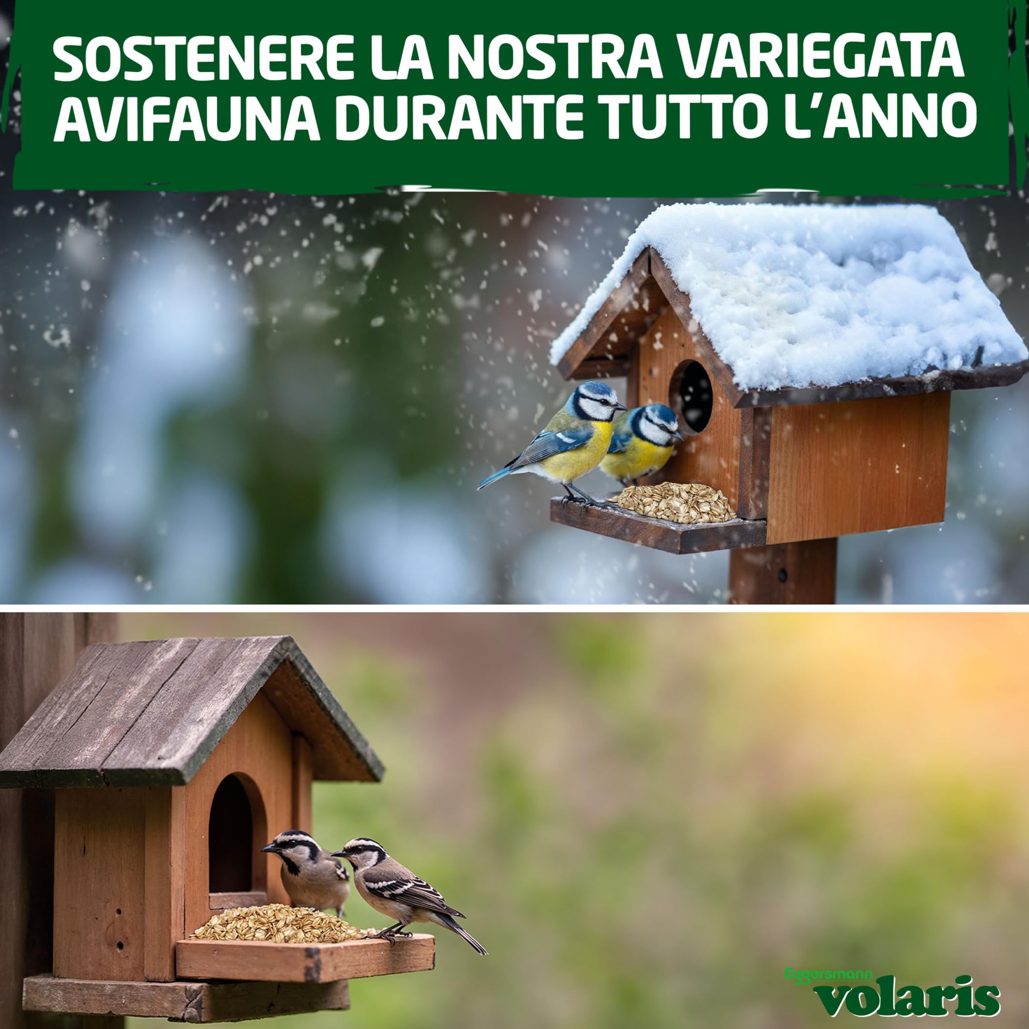 Eggersmann volaris Farina d'avena 8 x 2 kg – Mangime per uccelli selvatici – Farina d'avena ideale anche come mangime per animali per ricci, conigli e roditori – Mangime per uccelli selvatici adatto