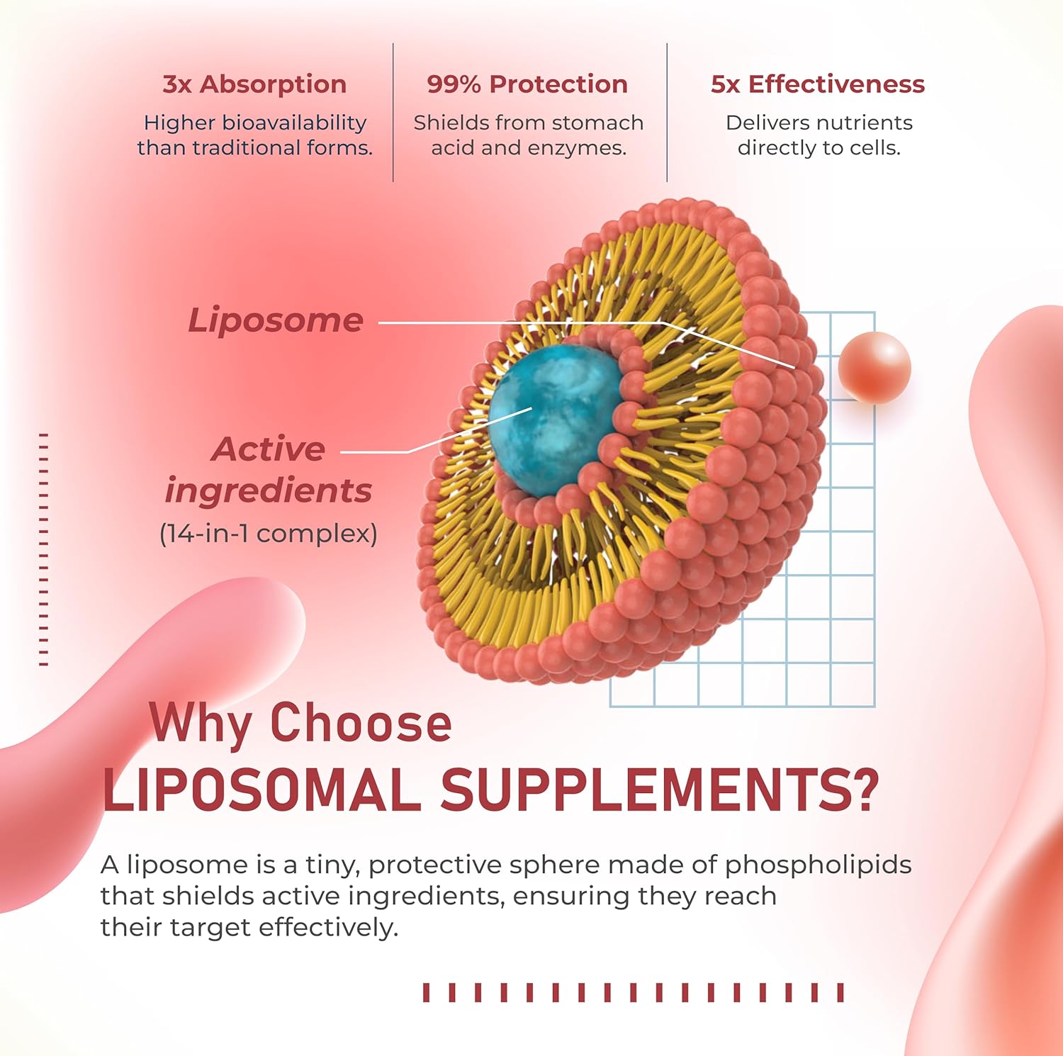 Liposomal Berberine 1790 mg with Cinnamon, Gymnema, CoQ10, ALA & Ashwagandha – Supports Metabolic Harmony & Cardiovascular Wellness – 180 Capsules - Image 6