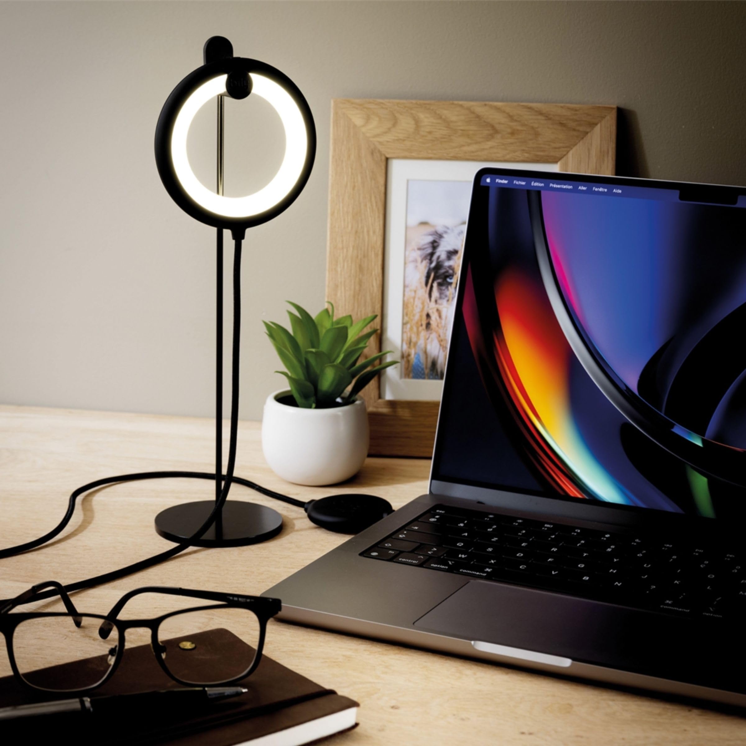 BILY Reading Lamp with Led, Desk Lamp, Bedside Lamp, with Perch and Clip, 3 in 1 Light Pack, USB Port, 3 Light Levels - Black - Image 3