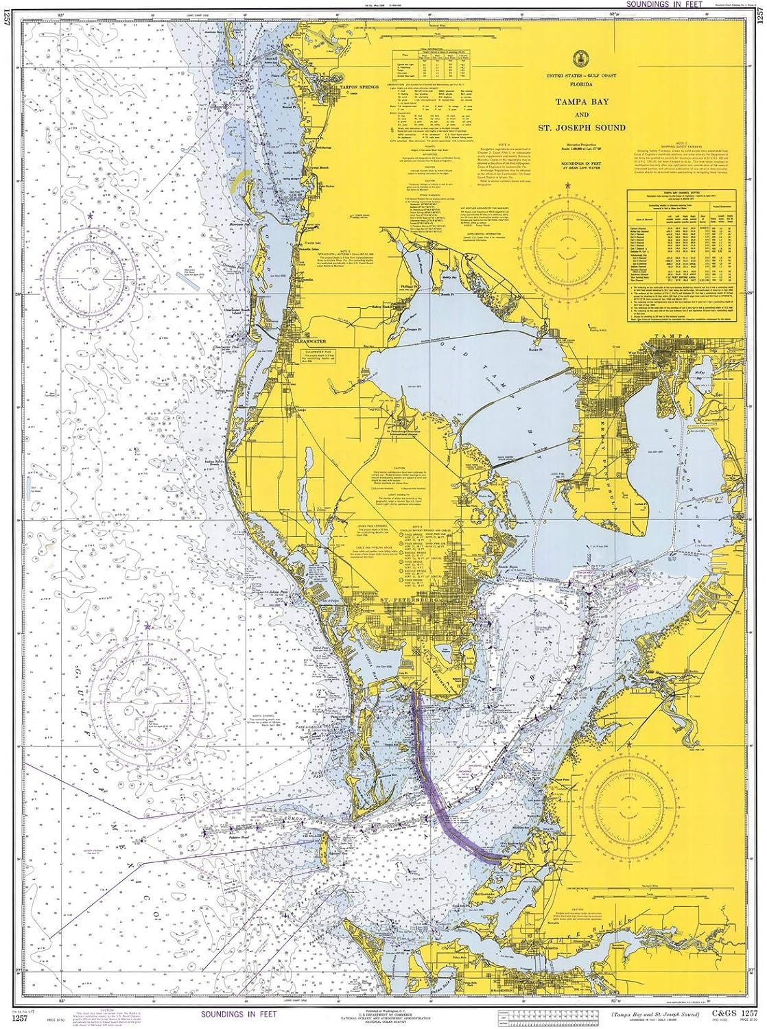 Historic Pictoric Tampa Bay and St. Joseph Sound 1972 Nautical Chart Print - 24in x 30in