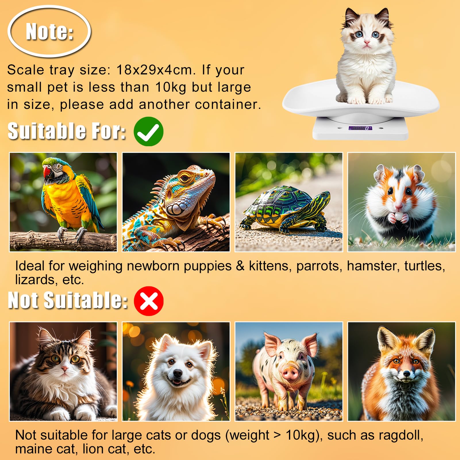 Pèse-Animaux | Balance Haute Précision Pour Chien Et Compagnie