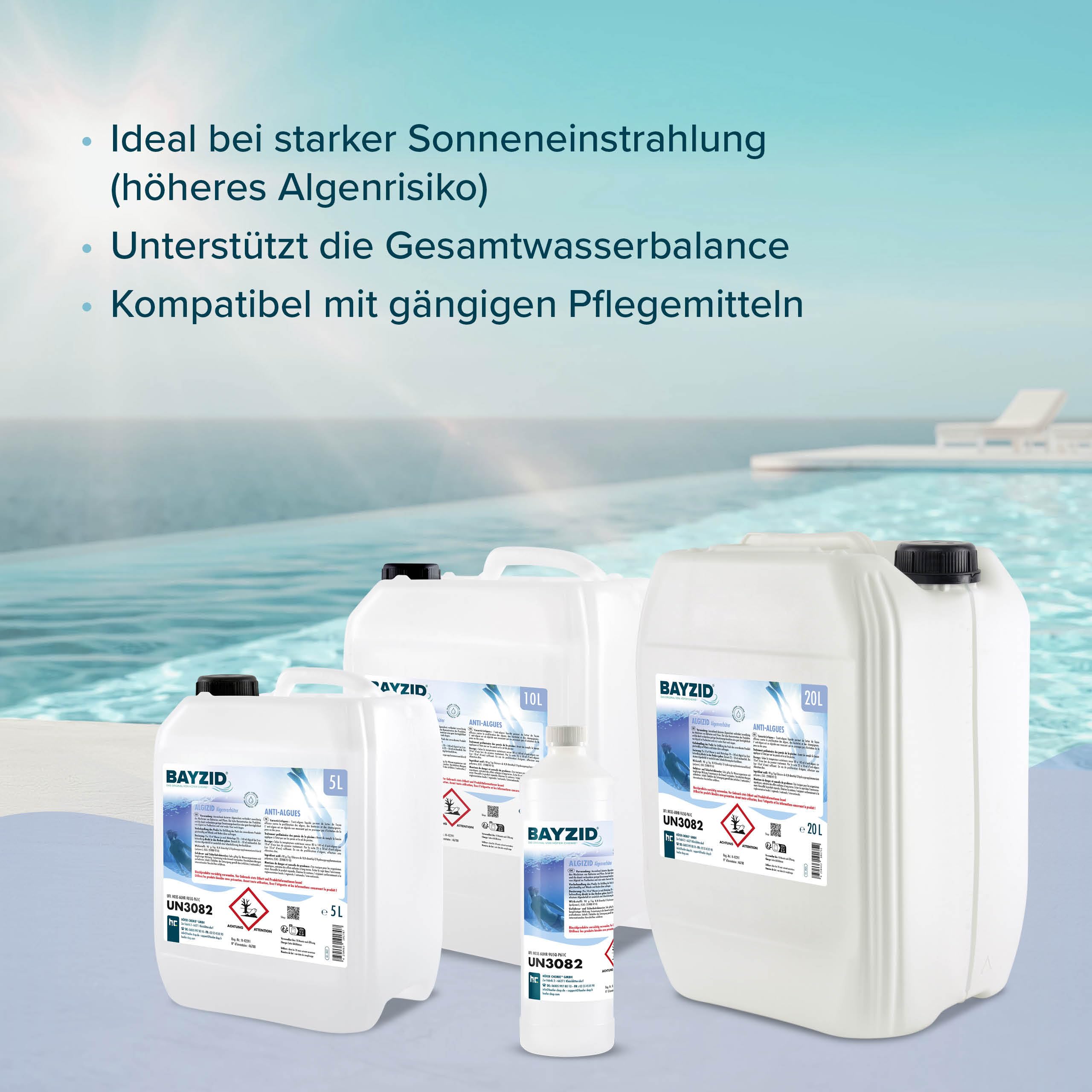 Höfer Chemie Algizid Algenverhütung 20L - Algenvernichter Pool - Pool Zubehör - Präventiver Schutz vor Algen, Bakterien & Pilzen - Für Sauberes Wasser