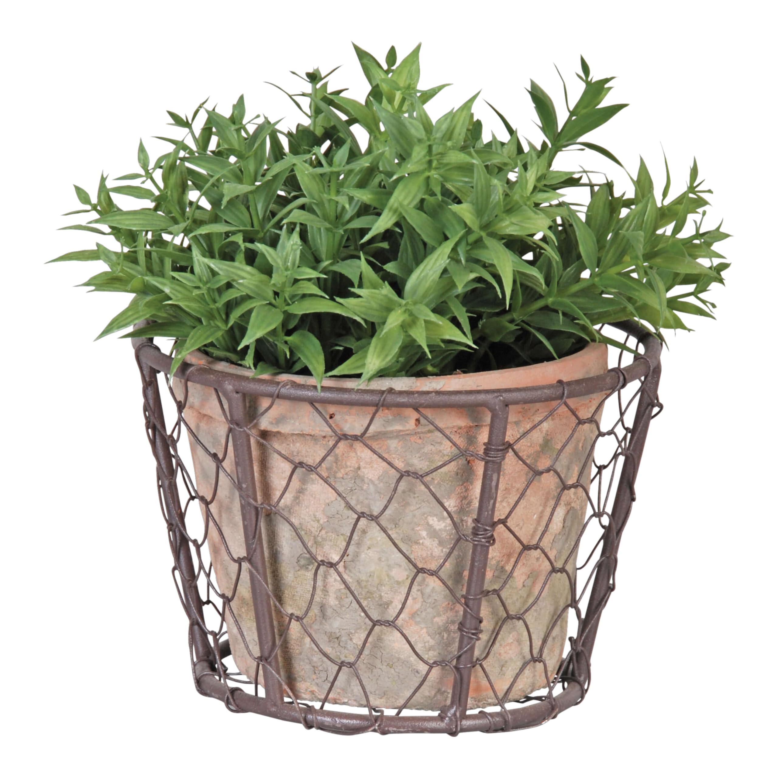 Amazon.com: Esschert Design AT10 Aged Terracotta Single Pot with
