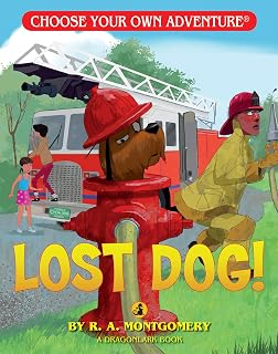 Lost Dog! by Montgomery