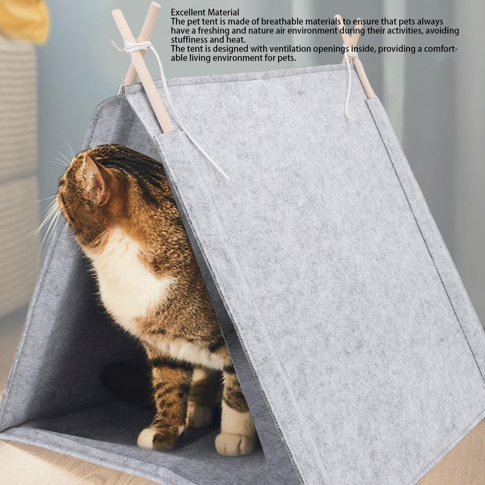 Asixxsix Lits pour Chats D'intérieur, 36 X 40 X 43 Cm, Tente en Feutre pour Animaux de Compagnie, Tentes Portables pour Chiots, Lapins, Petits Chiens, Chats, Tipi pour Animaux de