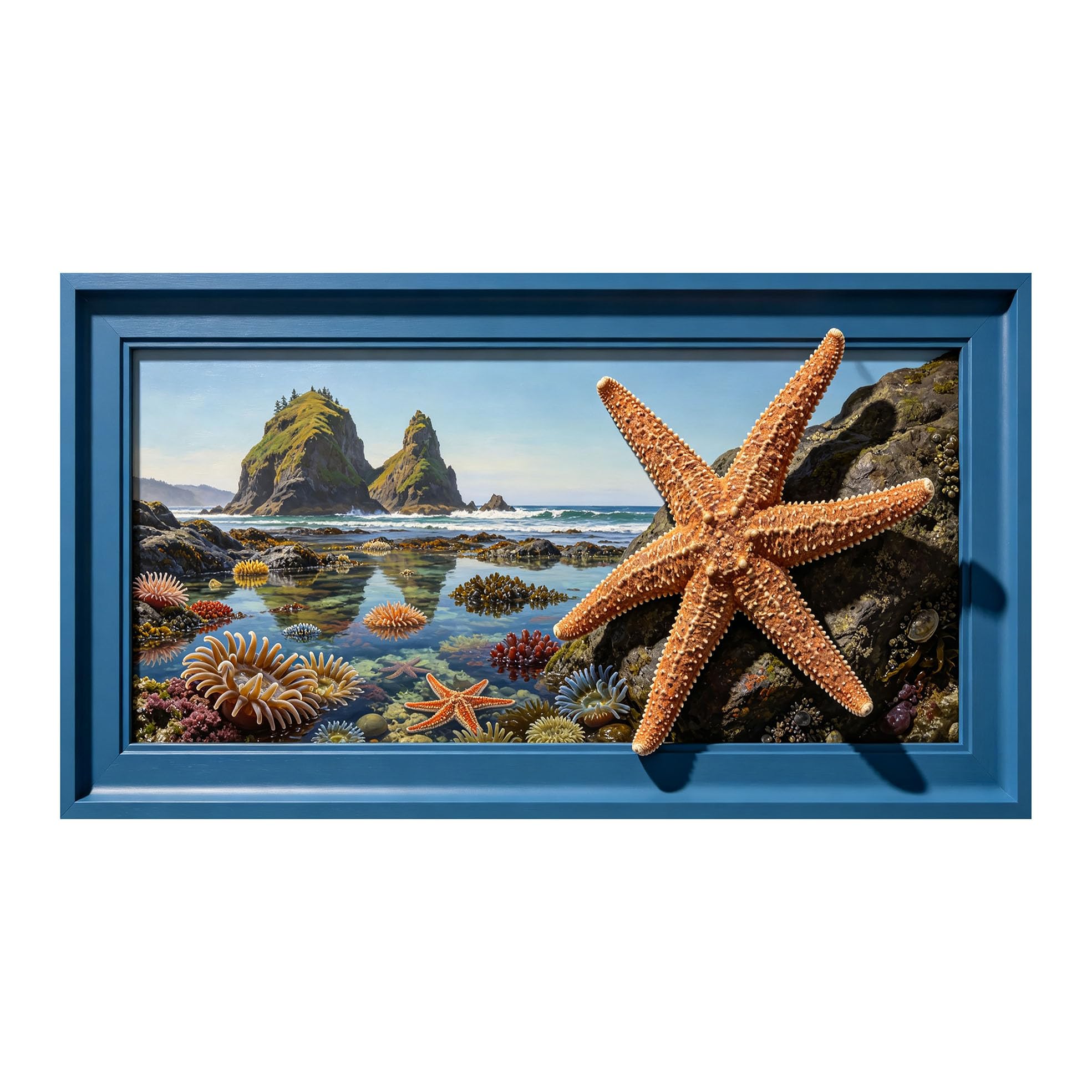 Yzpallescene 3D Framed Wall Art 50cm×100cm Coastal Marine Seascape Starfish Ocean Panoramic Window View Large Size SelfAdhesive Removable Wall Decor Prints Artwork for Living Room Bedroom Office