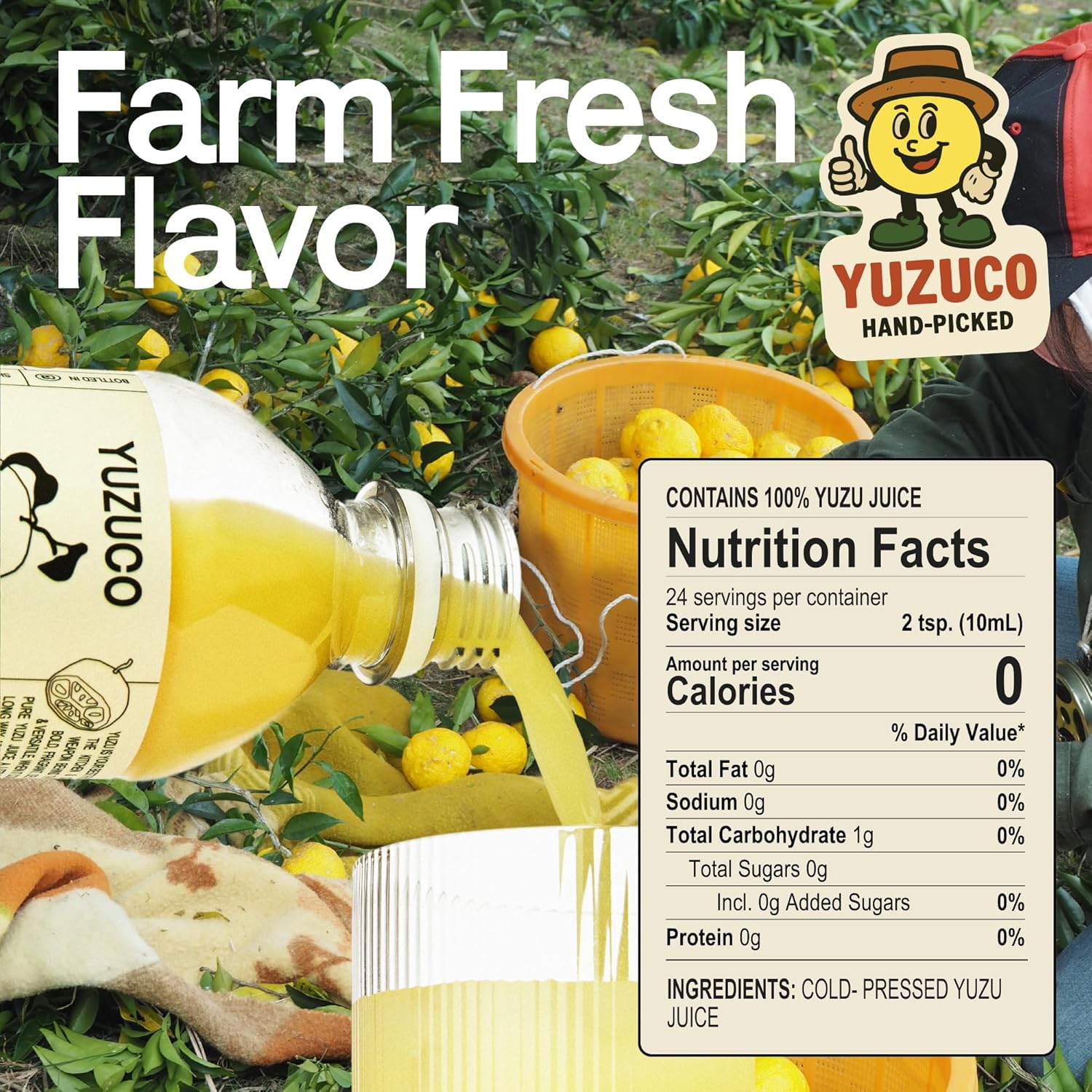 YUZUCO - 100% Cold-Pressed Juice - 8.4oz Premium Yuzu Juice from Japan - Bottled in California