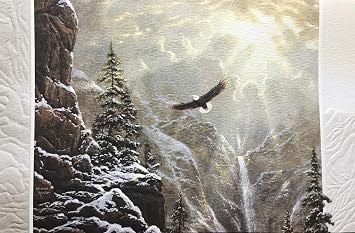 Pumpernickel Press Embossed Christmas Greeting Cards Boxed Set Soaring High, 16 Count