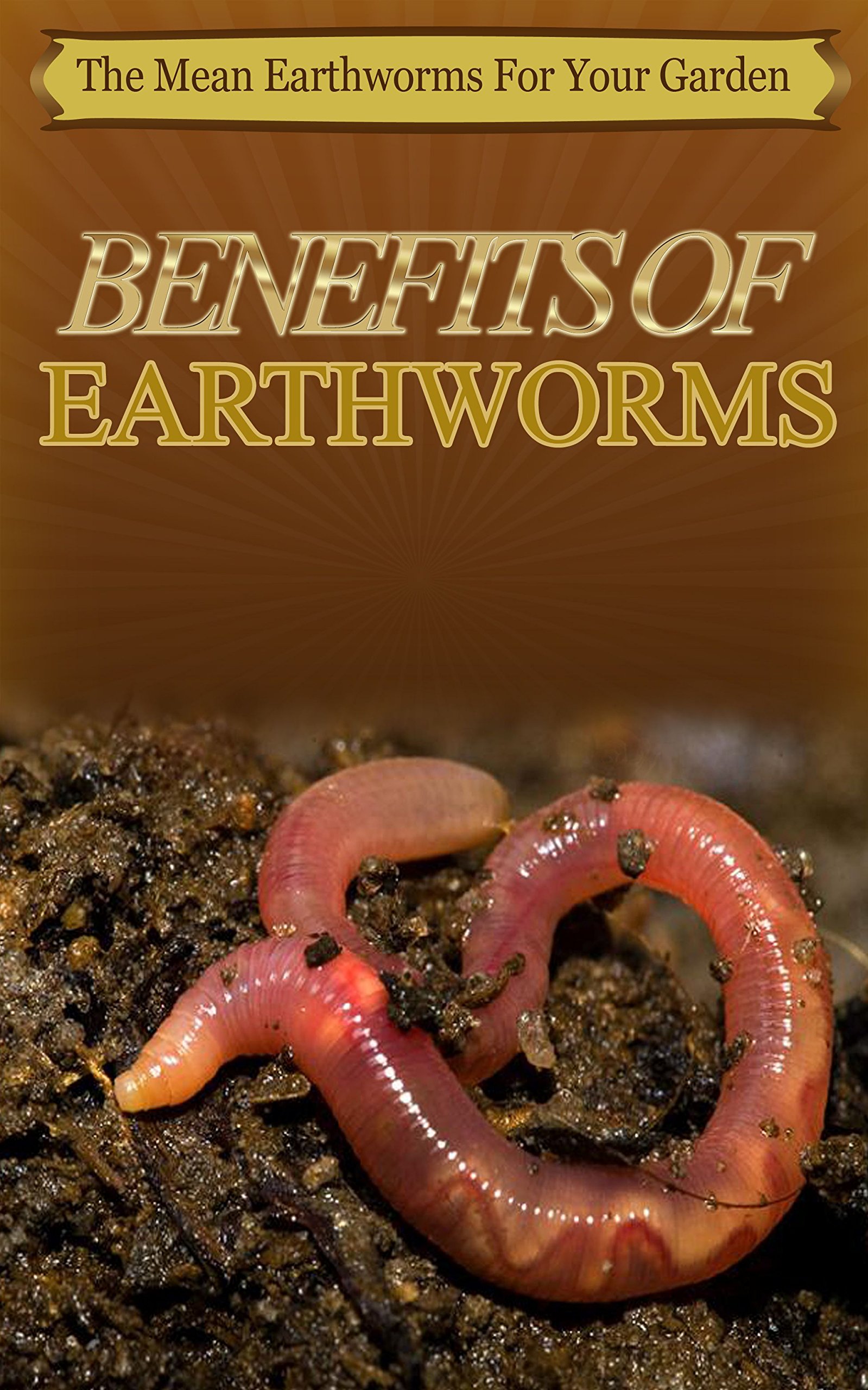 Buy Benefits Of Earthworms The Mean Earthworms For Your Garden Online at desertcartINDIA