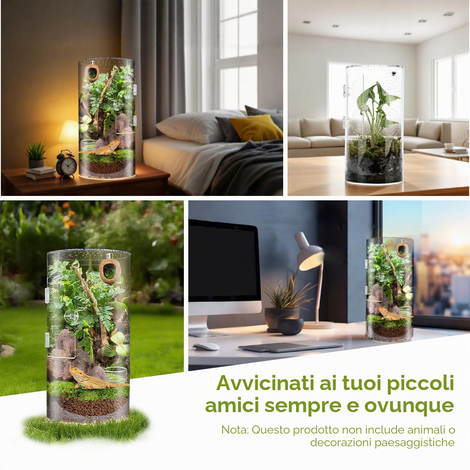Terrario Cilindrico, 360° Terrarium Acrilico,Rettili Trasparente | Teca per Vivarium, Terrario Rettili per ragni, lumache, mantidi, lucertole, raganelle, paguri, coleotteri